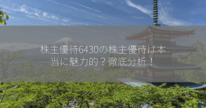 株主優待6430の株主優待は本当に魅力的？徹底分析！